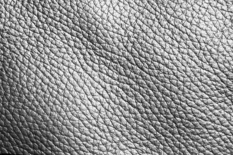 Leather Background or Texture Stock Photo Image of copyspace, colored