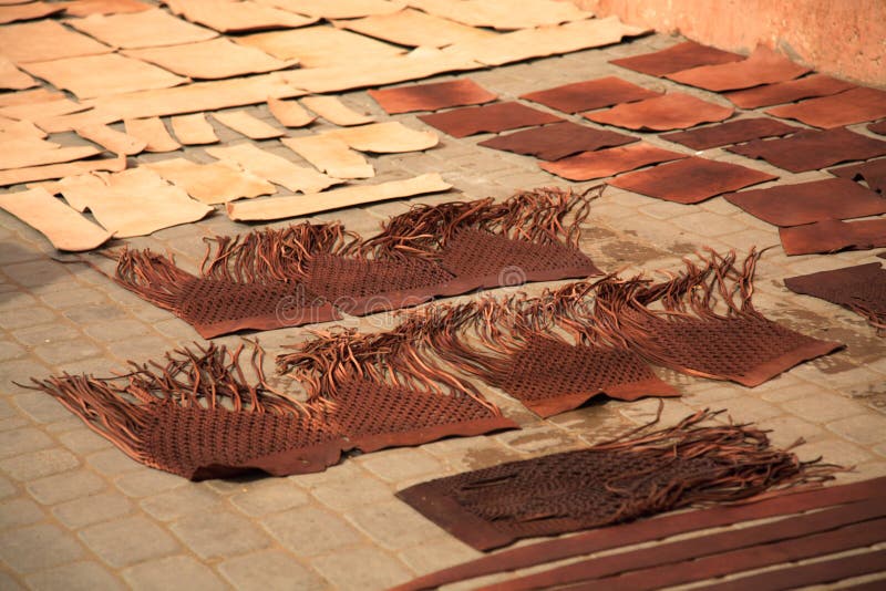 Leather Drying Picture. Image 6259310