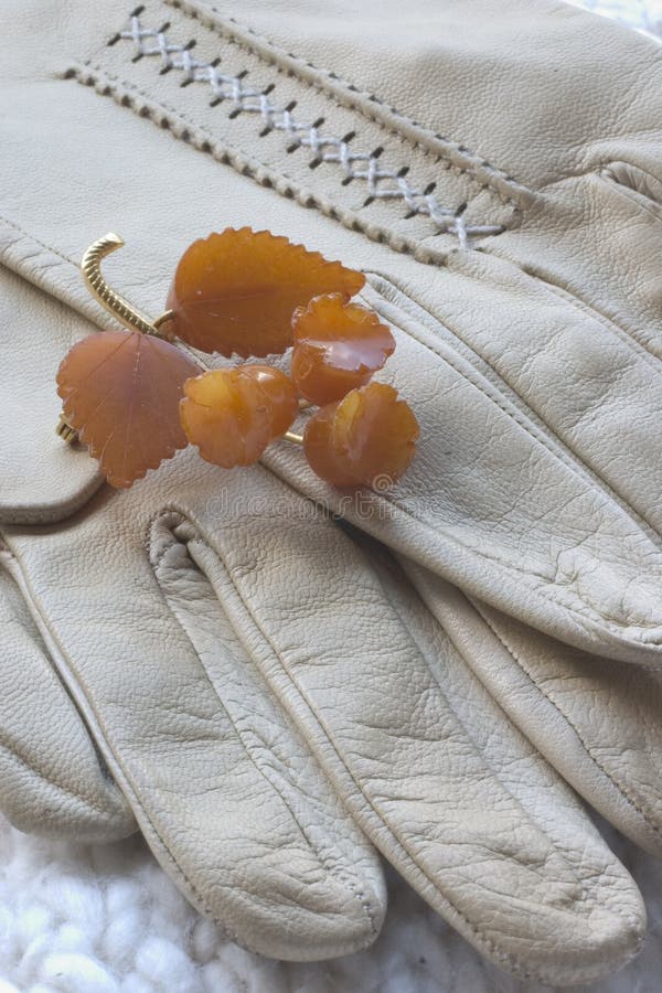 Leather Gloves and amber