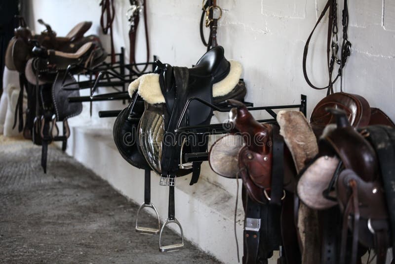 Leather horse saddles and equipment resting on hangers in tack r stock photos Leather horse saddles and equipment resting on hangers in tack r stock photos