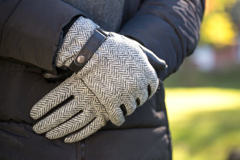 Men`s Gloves with Herringbone Fabric Inserts Stock Image Image of