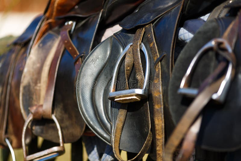 Leather saddle horse stock photography