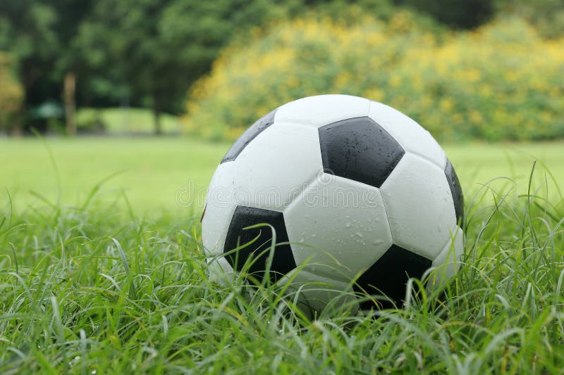 Leather Soccer ball stock image. Image of sports, playing 39858161