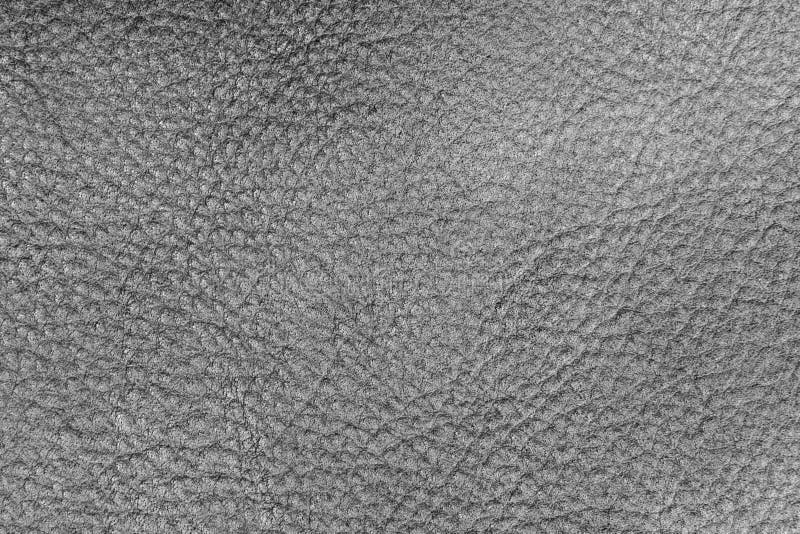Leather Texture Picture. Image 7755466
