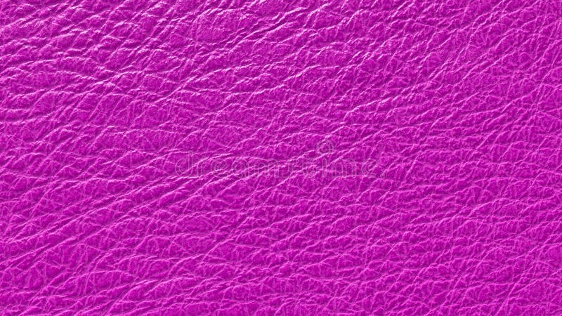 Leather Textured Background in the Color Fuchsia. Calf and Lamb Skin ...