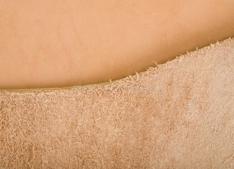Leather Vs. Back Side of Leather Stock Photo Image of macro, leather