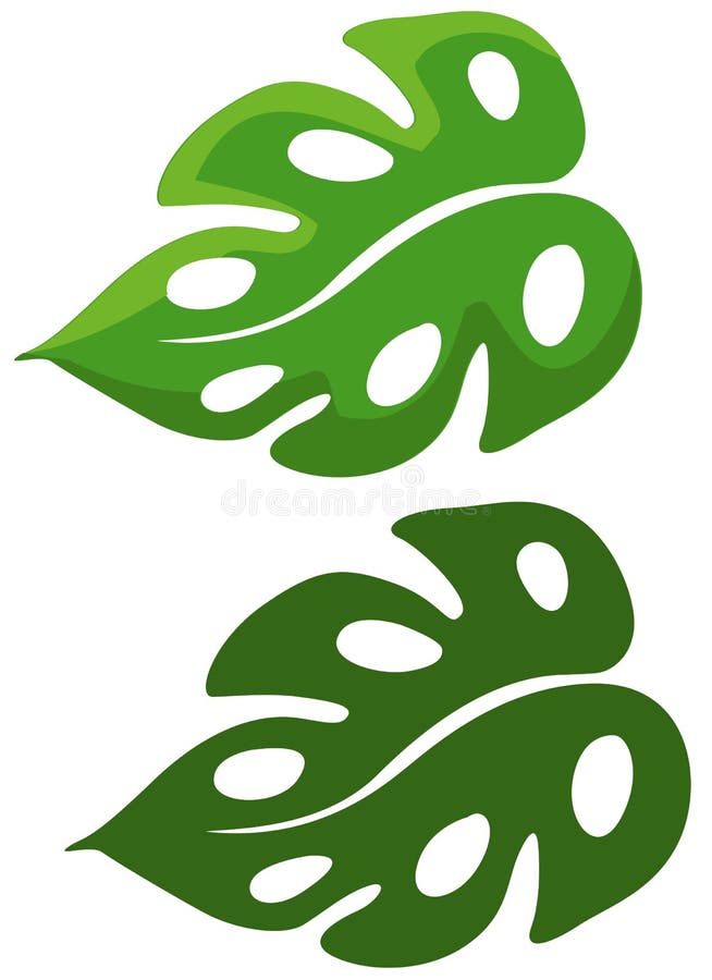 Leaves vector illustration