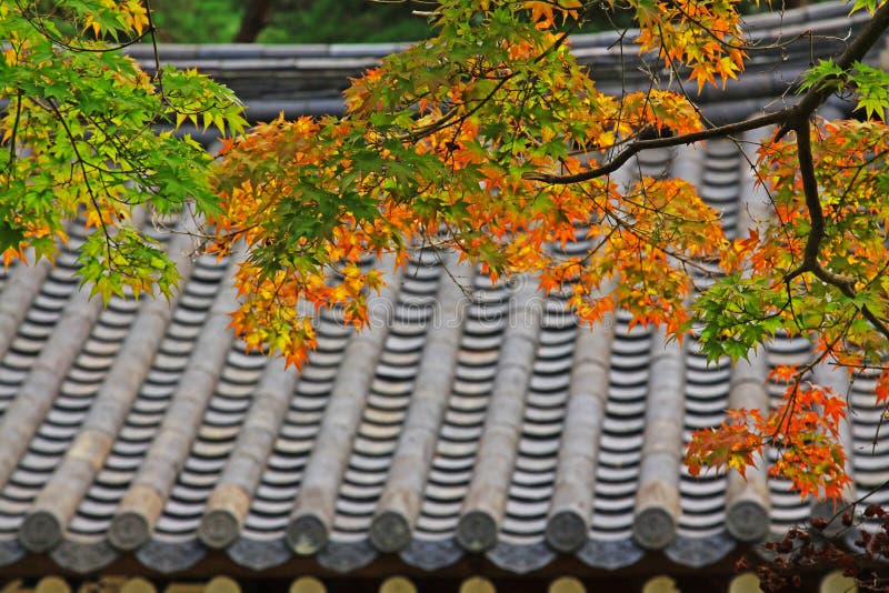 Leaves In Automn with Asian Traditional Roof