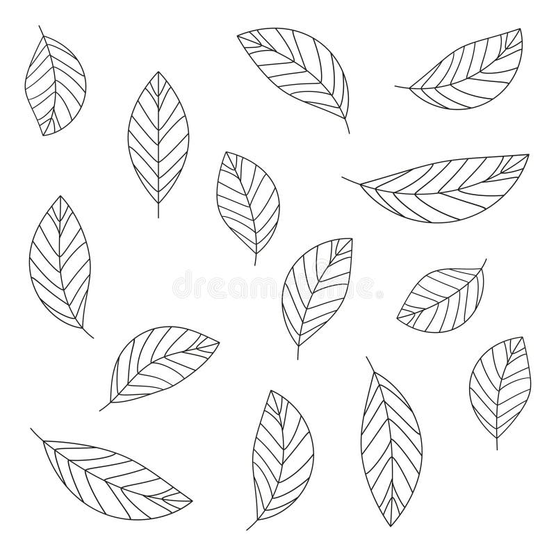 The Leaves are Black in Abstract Style. Design Element. Vector