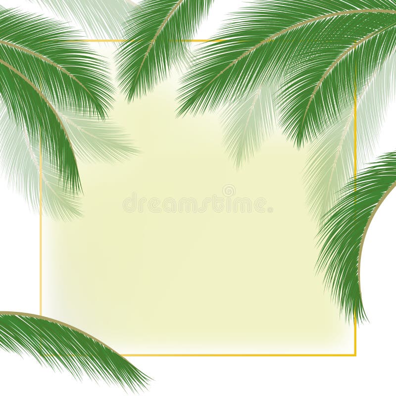 Leaves of Coconut Tree on White and Yellow Summer Background. Vector ...