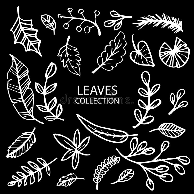 Leaves collection