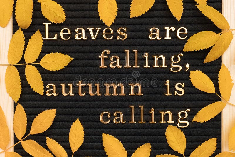autumn quotes for letter board autumn quotes for letter board