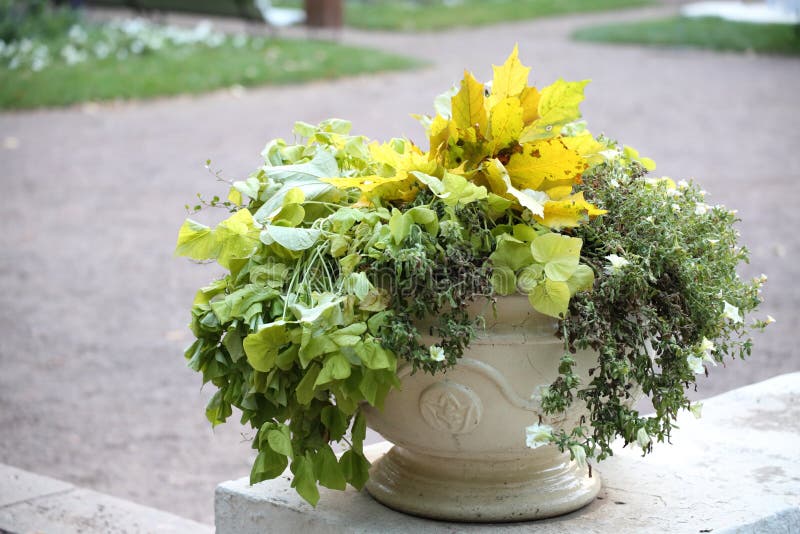 Anna Vlasova Annavlasova Photos