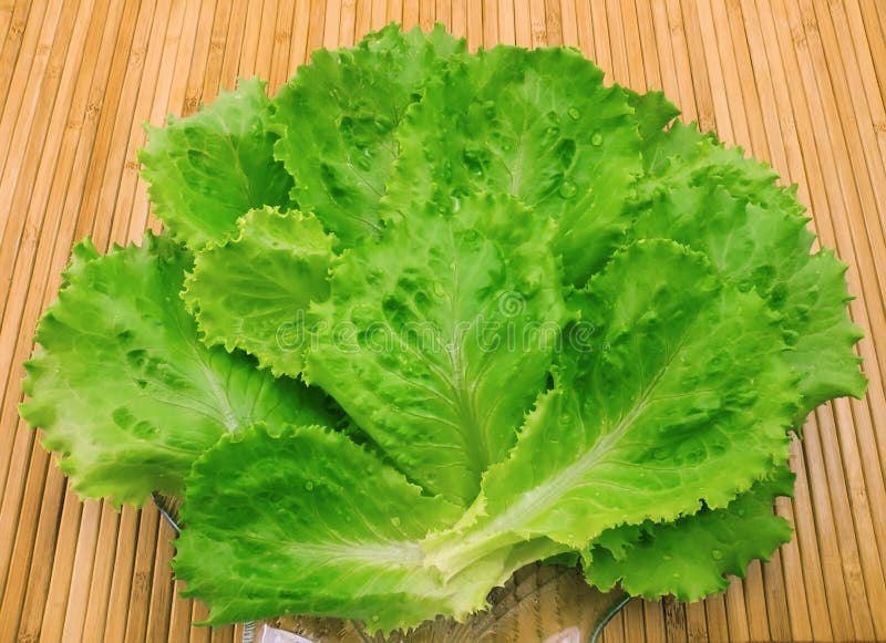 Leaves of fresh lettuce and water drops