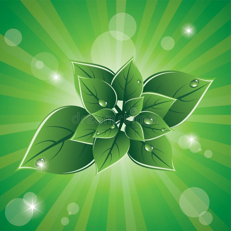 leaves för designecogreen royaltyfri illustrationer leaves för designecogreen royaltyfri illustrationer