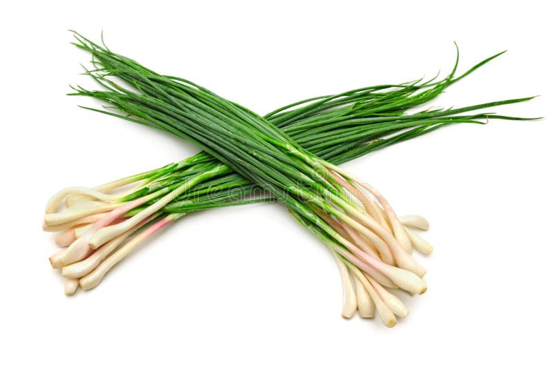 Leaves of green onions stock photo. Image of groceries 85146150