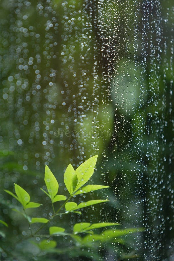 1,293,751 Rain Stock Photos - Free & Royalty-Free Stock ...