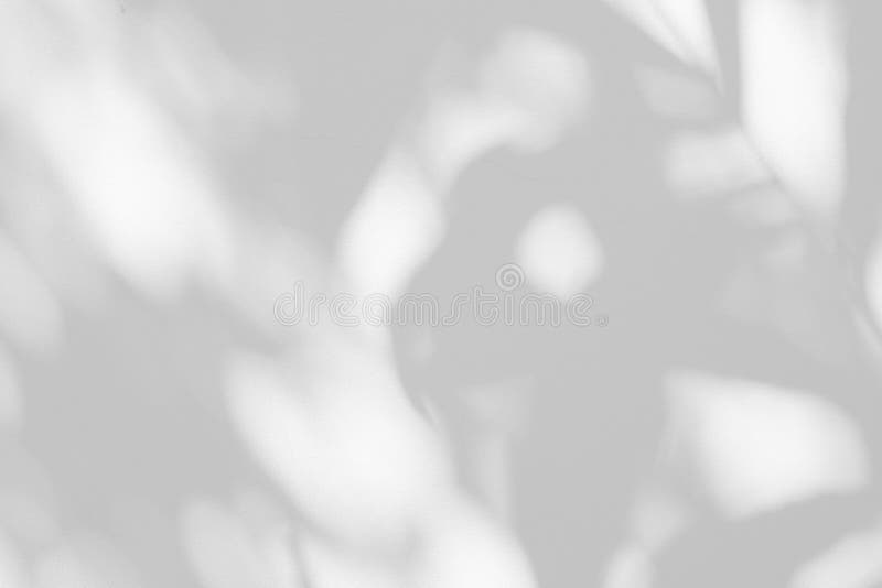 Leaves Shadow on White Concrete Wall Texture Background, Suitable for Overlay. royalty free stock photography