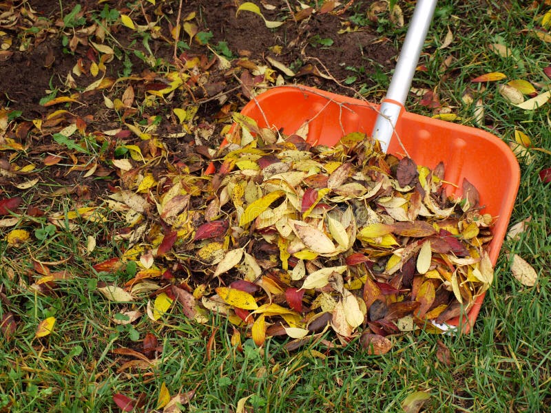 Shovel With Fallen Leaves And Litter Over Road Stock Photo - Image of ...