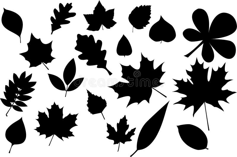 Leaves silhouette