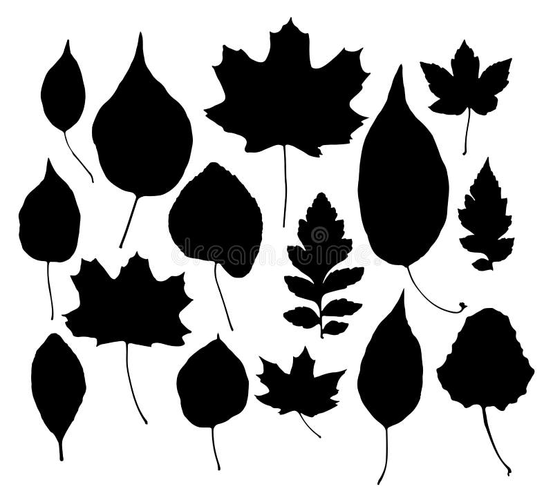 Leaves Silhouettes Set Isolated on White Background Vector Stock Vector ...