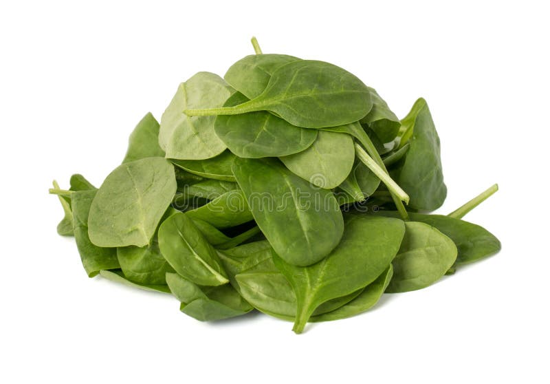 Leaves Of Spinach Isolated On White Background Stock Image Image of