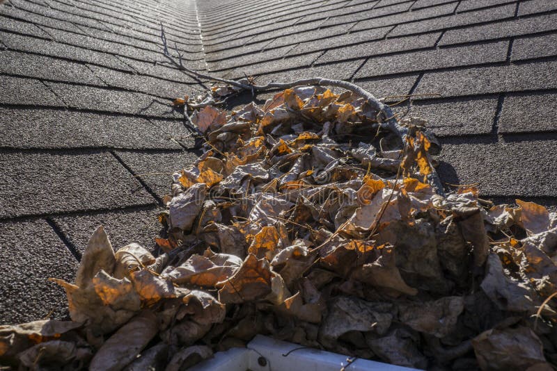 The leaves on the roof stock photo. Image of gutter, drainage 27334872