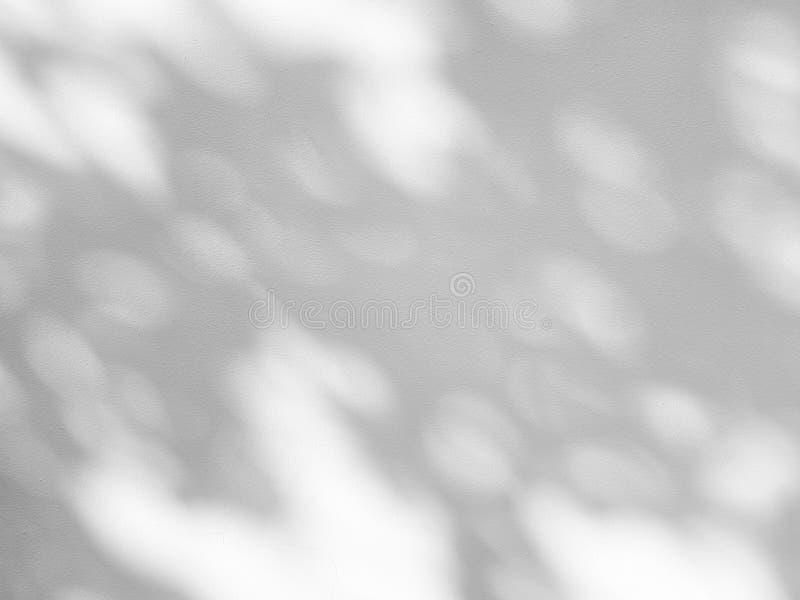 Leaves of Tree Shadow on White Concrete Wall Background. royalty free stock photos