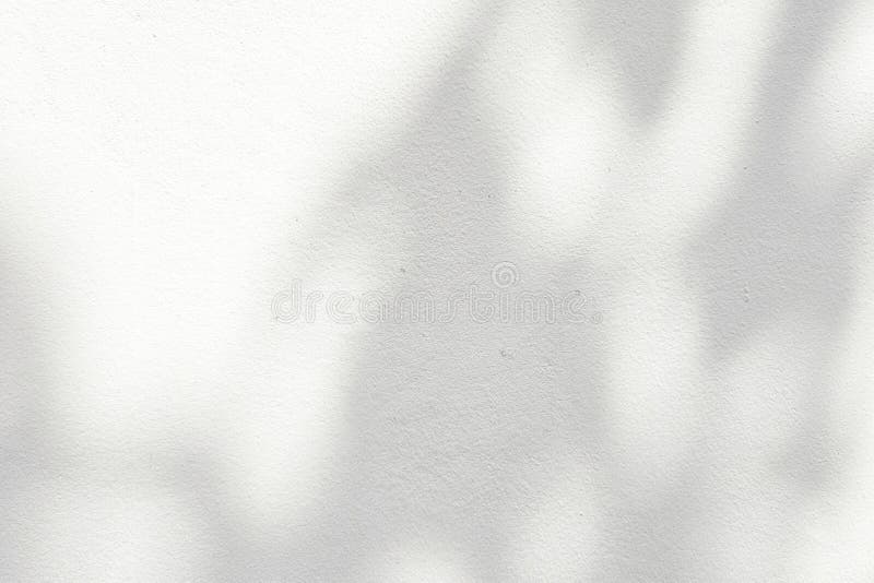 Leaves of Tree Shadow on White Concrete Wall Background stock photography