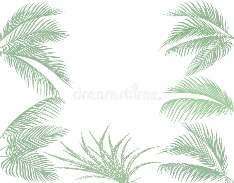 Leaves of tropical palms in pastel tones. Set. Monster, agave. Isolated on white background. illustration royalty free illustration Leaves of tropical palms in pastel tones. Set. Monster, agave. Isolated on white background. illustration royalty free illustration