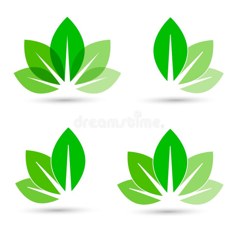 Leaves vector icon