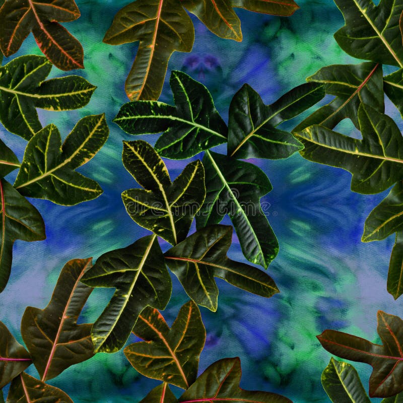 Leaves on a watercolor background, decorative composition with plant elements. Croton. Seamless pattern. Ecoprint. Use printed products, signs, posters, postcards, packaging. Illustration designation stock images, royalty-free photos and pictures