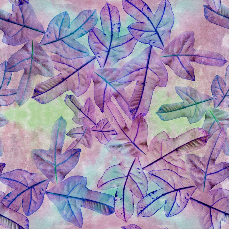 Leaves on a watercolor background, decorative composition with plant elements. Croton. Seamless pattern. Ecoprint. Use printed products, signs, posters, postcards, packaging. Illustration designation stock images, royalty-free photos and pictures