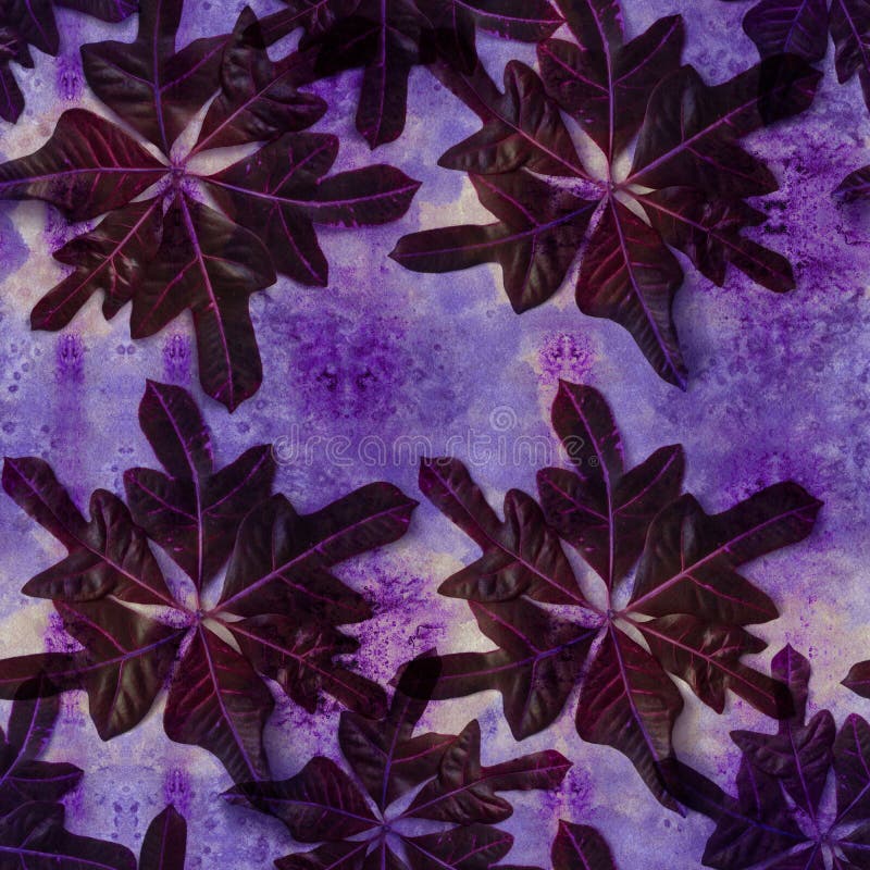 Leaves on a watercolor background, decorative composition with plant elements. Croton. Seamless pattern. Ecoprint. Use printed products, signs, posters, postcards, packaging. Illustration designation stock images, royalty-free photos and pictures