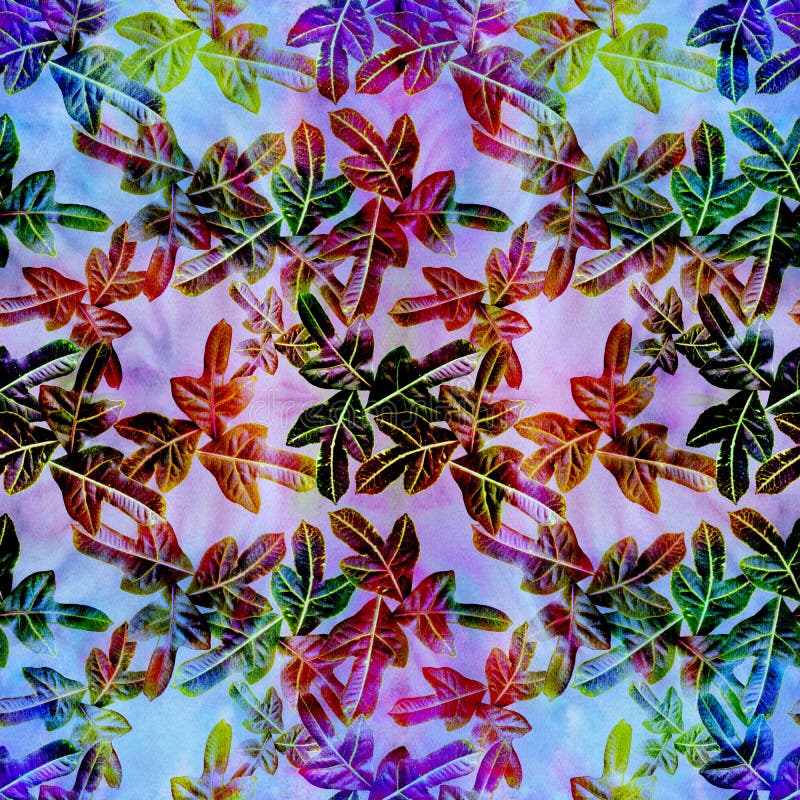 Leaves on a watercolor background, decorative composition with plant elements. Croton. Seamless pattern. Ecoprint. Use printed products, signs, posters, postcards, packaging. Illustration designation stock images, royalty-free photos and pictures