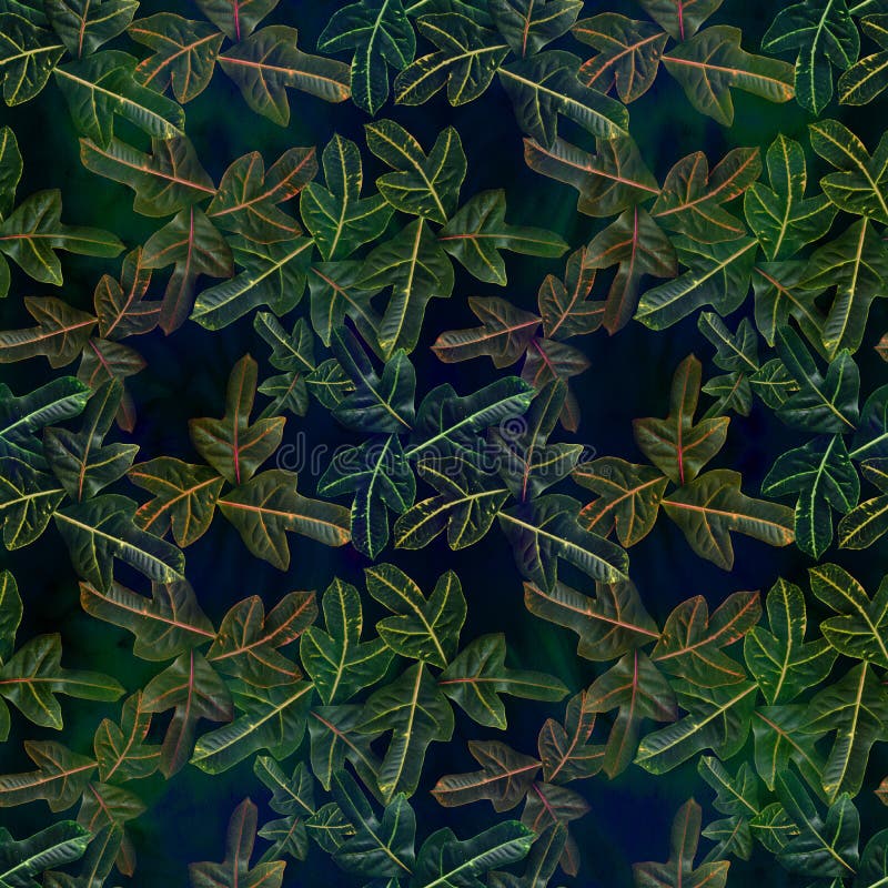 Leaves on a watercolor background, decorative composition with plant elements. Croton. Seamless pattern. Ecoprint. Use printed products, signs, posters, postcards, packaging. Illustration designation stock images, royalty-free photos and pictures
