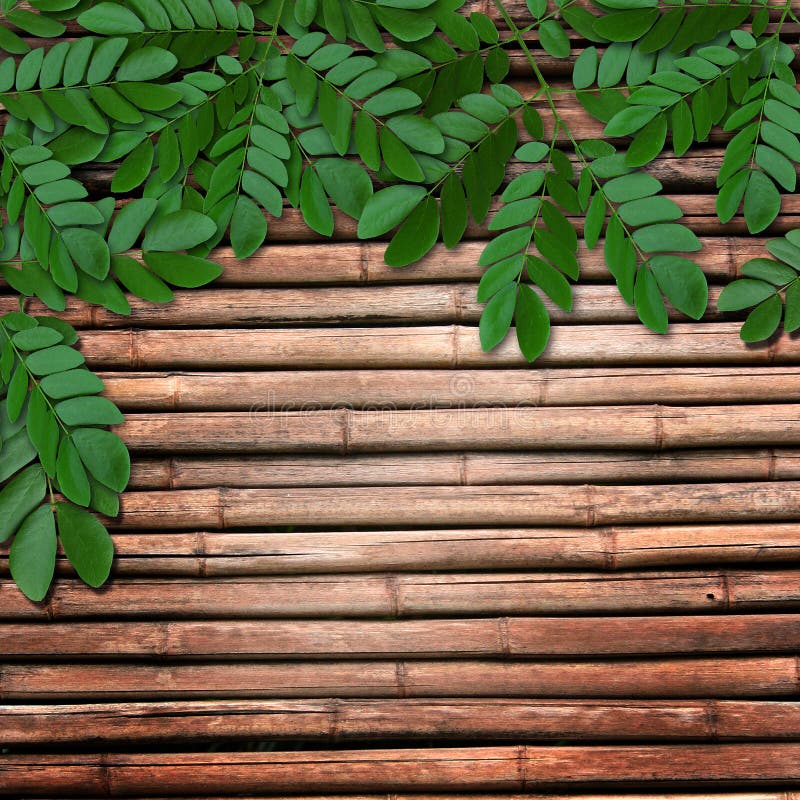 Leaves on wooden background