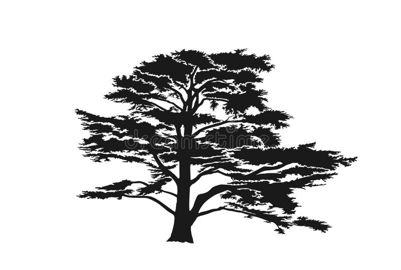 Lebanon cedar tree silhouette. trees and nature design element. isolated ve...