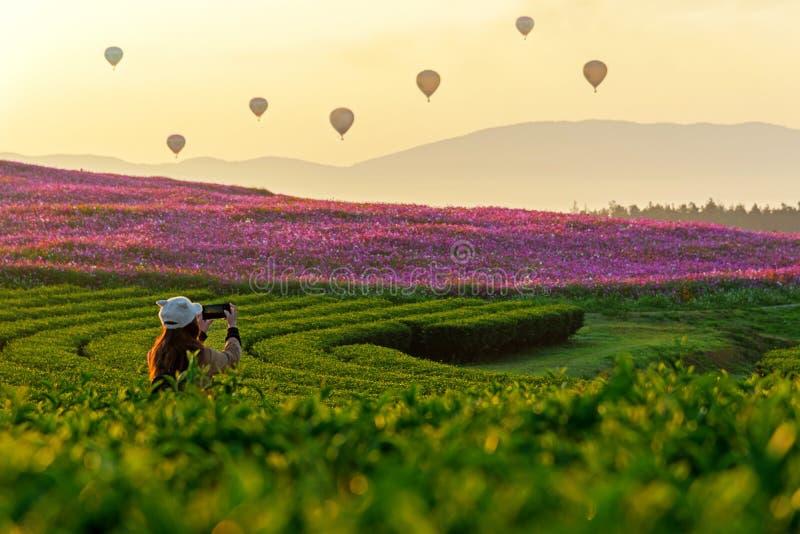 Lebensstilreisendfrauen nehmen einen Fotofeuerballon auf dem Naturtee- und -kosmosbauernhof im Sonnenaufgang