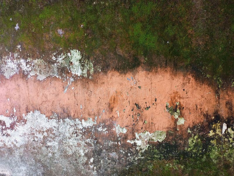 Lebhafte abstrakte, grungy Wandtextur mit Moss und Paint stockbilder