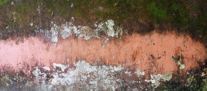 Lebhafte abstrakte, grungy Wandtextur mit Moss und Paint lizenzfreie stockfotografie