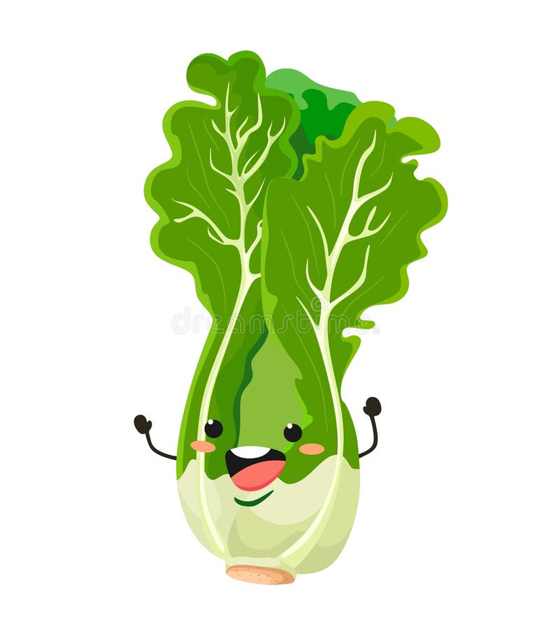Lechuga en un estilo de la historieta Ensalada fresca de la lechuga Ilustraci? n del vector en el fondo blanco stock de ilustración