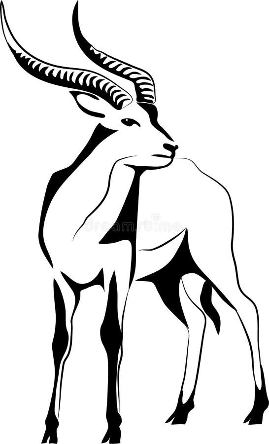 Lechwe - stylized black and white vector illustration. Lechwe - stylized black and white vector illustration