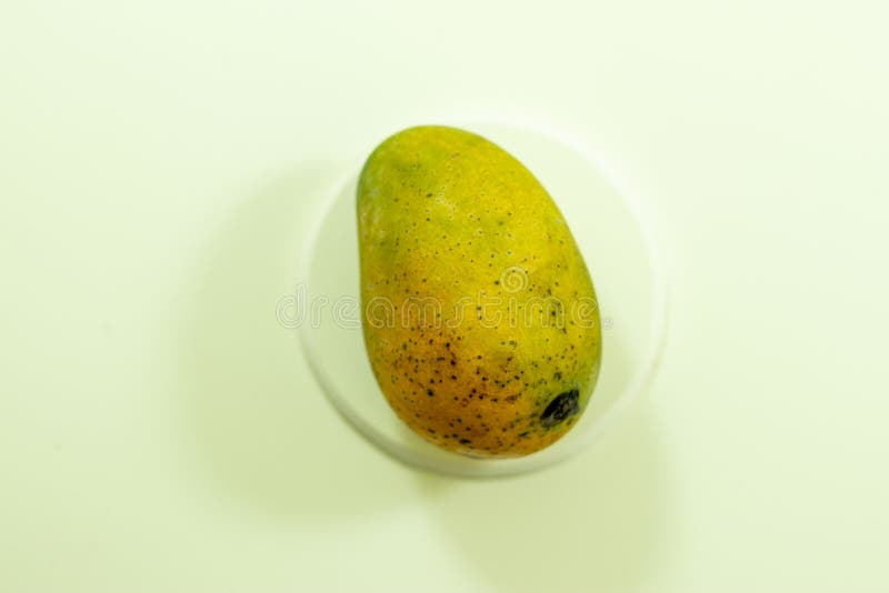 Leckere Früchte in der Welt Single reife Mango auf weißem Hintergrund lizenzfreies stockbild