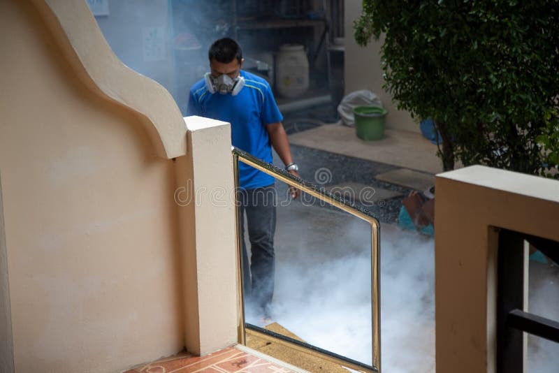 Professional insect treatment. man in a respirator sprays smoke poison. dangerous situation. Professional insect treatment. man in a respirator sprays smoke poison. dangerous situation