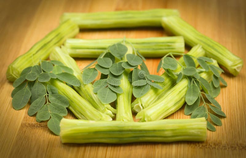 Leczniczy Moringa oleifera z liśćmi zdjęcie stock