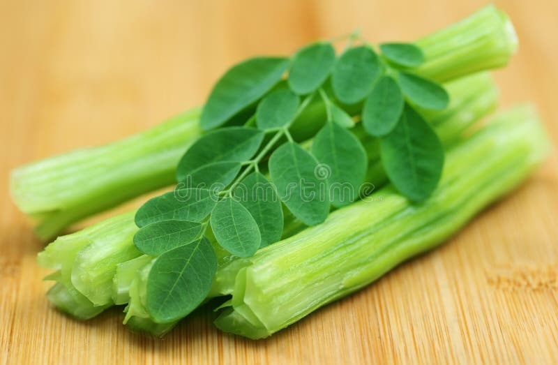 Leczniczy Moringa oleifera z liśćmi fotografia royalty free