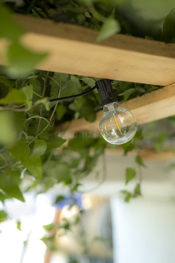 Led bulb in an garden stock image. Image of electronic 258229359