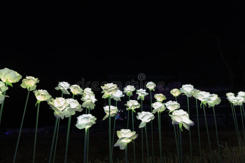 LED Flowers Garden at Night Stock Image Image of korea, beauty 83400595
