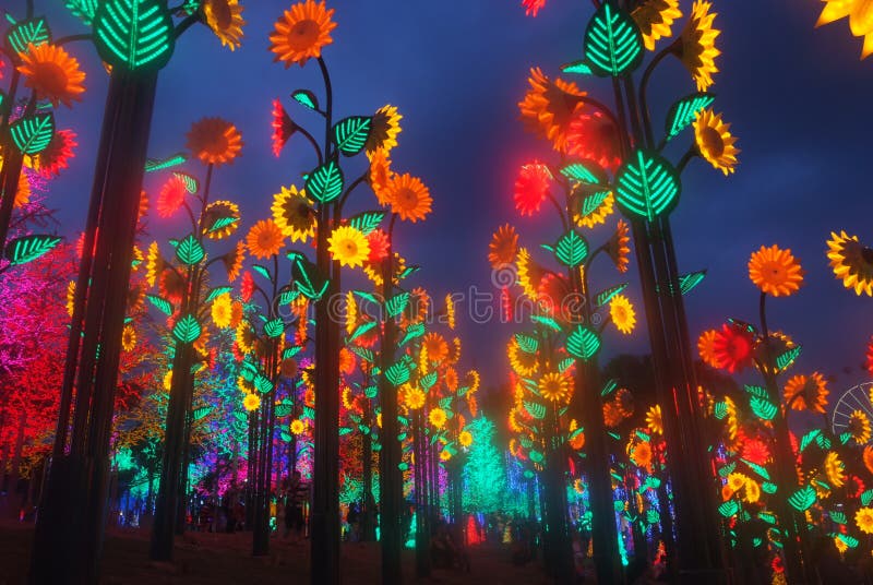 Led Light Festival stock photo. Image of lighting, plant 36833806